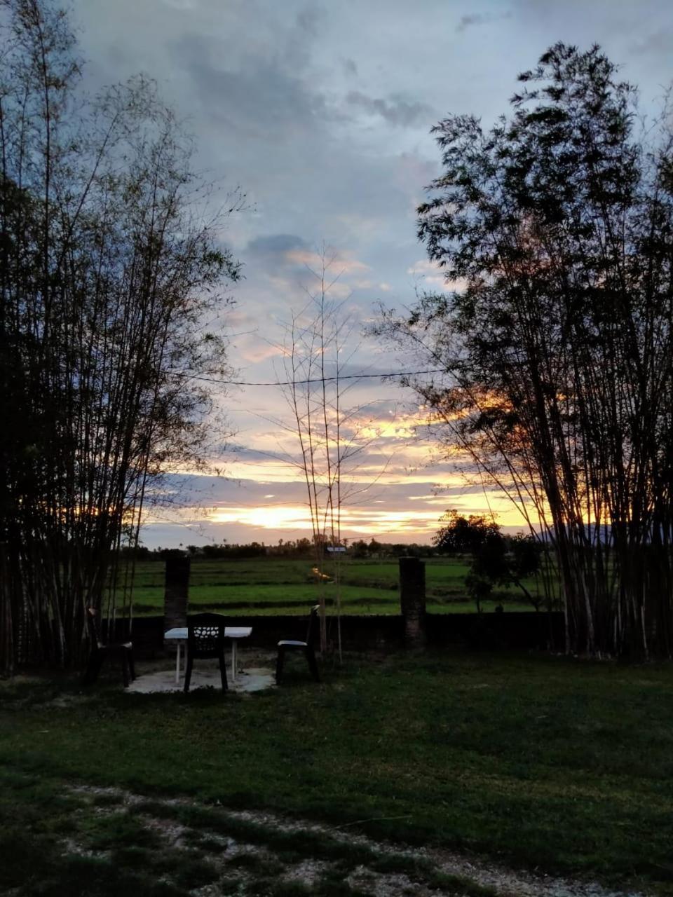 Villa Tempoyak Homestay 판타이체낭 외부 사진