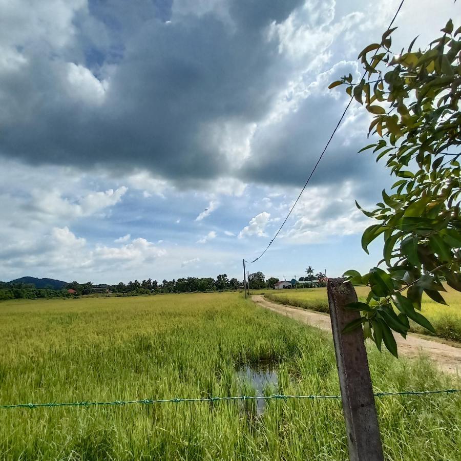 Villa Tempoyak Homestay 판타이체낭 외부 사진