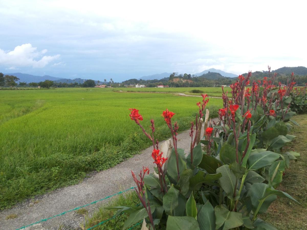 Villa Tempoyak Homestay 판타이체낭 외부 사진